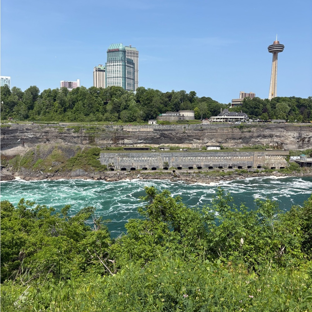 Meet your Posher, Arielii